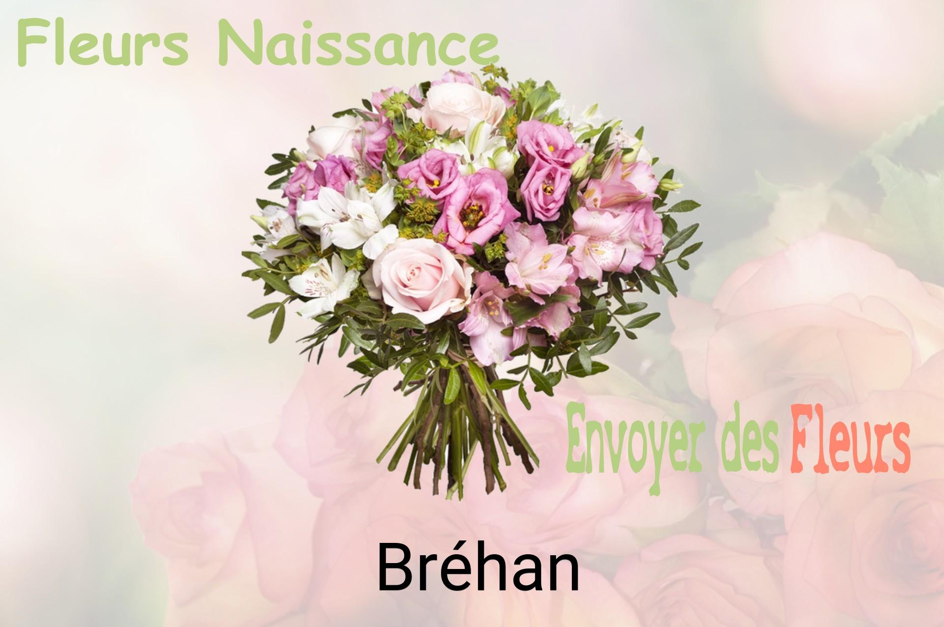Bouquet de fleurs de naissance livré à Bréhan
